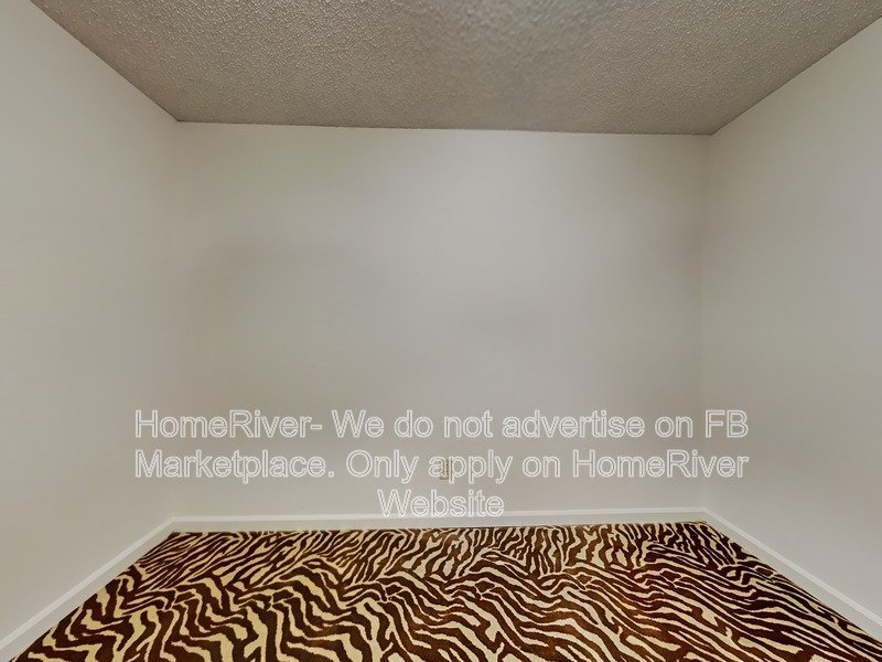 Immaculate 4 Bedroom Home | 4 Bedroom | Backyard property image