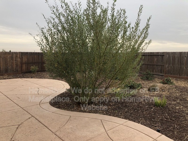 Roseville Living | Close to Galleria | Near Parks property image